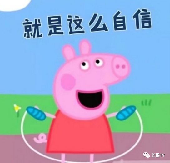 小猪头像抖音头像