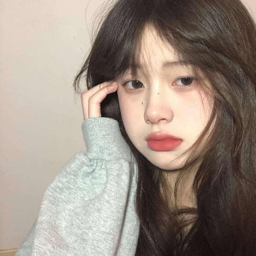 神仙女头不同的季节也许会爱上不同的花.