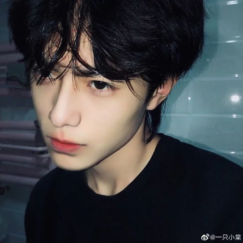 靠滤镜圈粉的伪帅哥钻研养鱼,大荧幕脸不崩的真美少年在埋头苦学