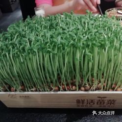凑凑火锅茶憩打浦桥日月光店的鲜活豌豆苗好不好吃用户评价口味怎么样上海美食鲜活豌豆苗实拍图片大众点评