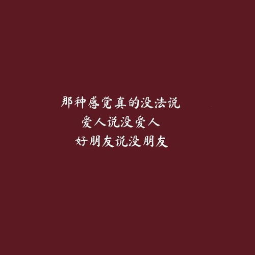 伤感文案你是风是雾是鸟是酒馆唯独不是归宿