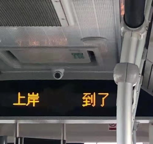 最全四川紧缺选调生报考答疑帖