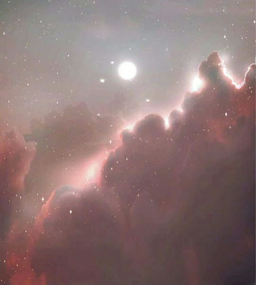 又到了夏天呢
