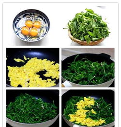 最家常的7道菜,10分钟搞定,比饭店的还香,荤素搭配简单美味