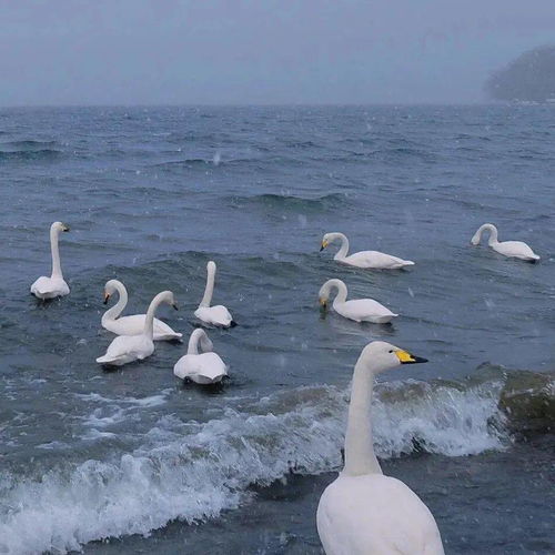 治愈系朋友圈背景图