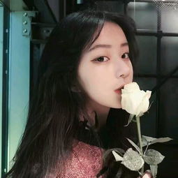 总会有人懂你的言外之意更懂你的欲言又止粉嫩清新好看的女生头像