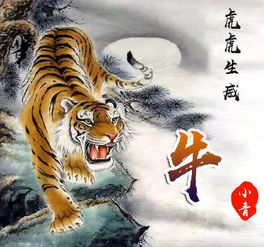 2023属蛇吉利微信头像