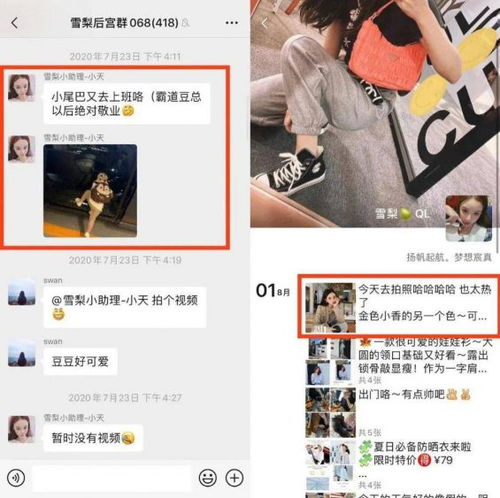 卧底了20个红人主播社群,我总结了薇娅李佳琦散打哥的私域模式