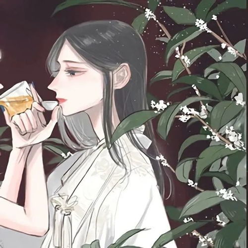动漫闺蜜头像夕阳送你登程,风儿送你远行,留下的是彩霞晚空