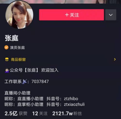 抖音里的贵妇们
