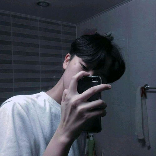 朱雀的任务在哪啊