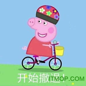 小猪佩奇社会表情包下载小猪佩琪社会人表情包下载完整版it猫扑网