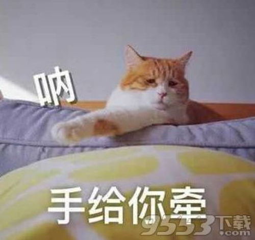 地表最强撩人的套路对话大全2018最火的套路问答
