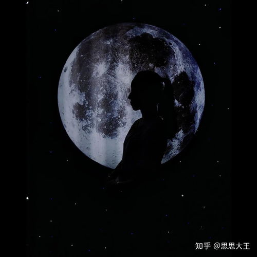 超ins情侣头像