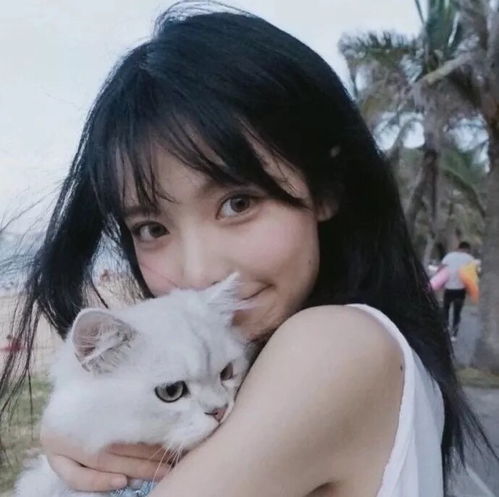 ins抱猫限定头像
