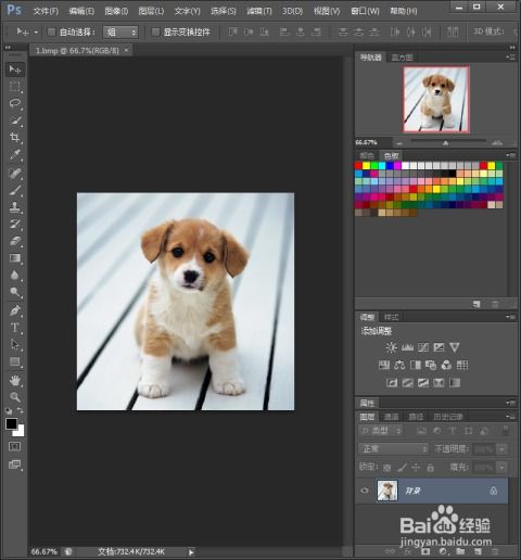 怎么用photoshop裁剪出一个圆形
