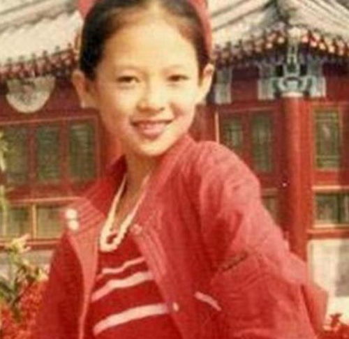 一家五口同游环球影城,章子怡我现在的野心都在家庭上