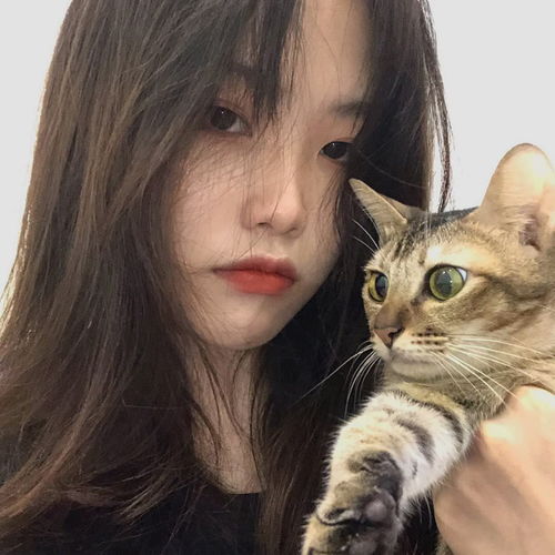 女生头像带动物的女头,欢迎来取