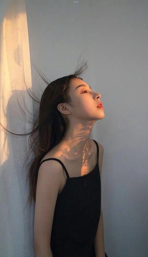 手机壁纸太赞了