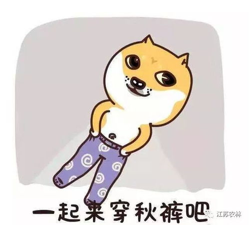 立冬丨农林大橘喊你穿秋裤