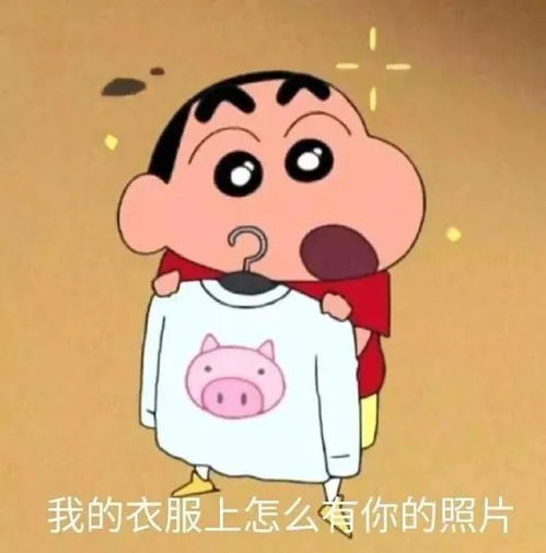 表情包神器抖音表情包熊猫道歉0702期