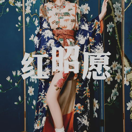 红昭愿版权方维权,网友你自己抄袭的事还没说清楚呢