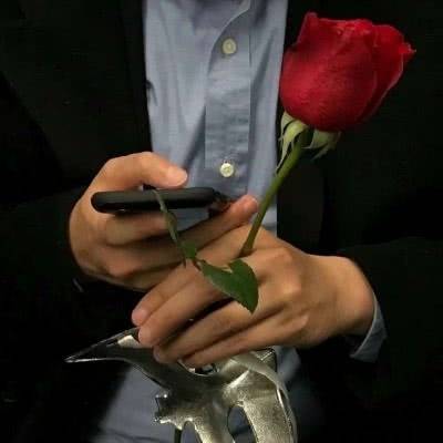 漂亮的玫瑰头像微信头像玫瑰花图片大全