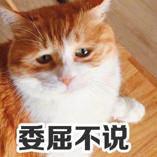 一切以大橘为重的人,应该都很穷吧