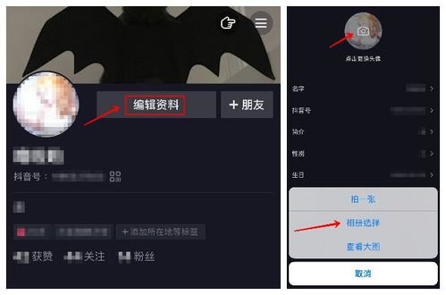 如何将抖音头像设置为透明背景