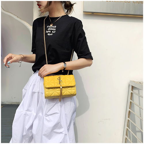 迪阿伦女包2020新款时尚韩版个性潮流链条包斜挎小众质感高级单肩小方包
