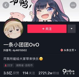 抖音吸粉大号养成技巧