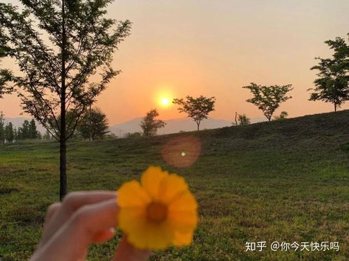 去对镜子里的自己笑一个