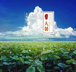 大暑