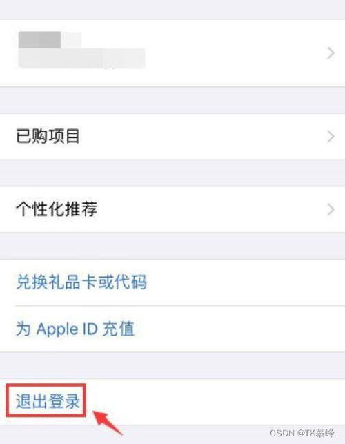 美版苹果手机怎么下中国抖音美版苹果能下载tiktok吗