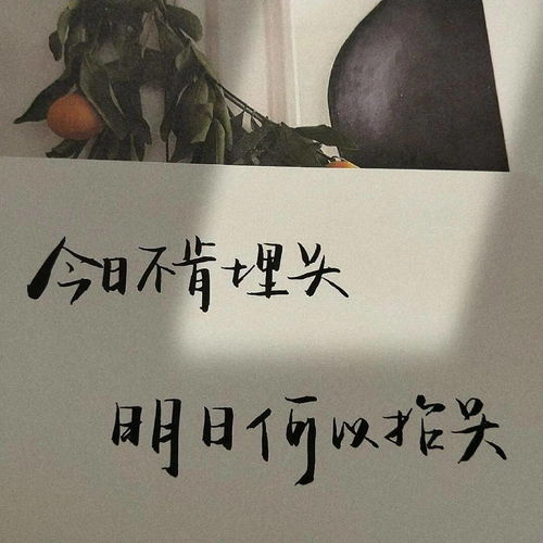 朋友圈背景图ins热门封面图