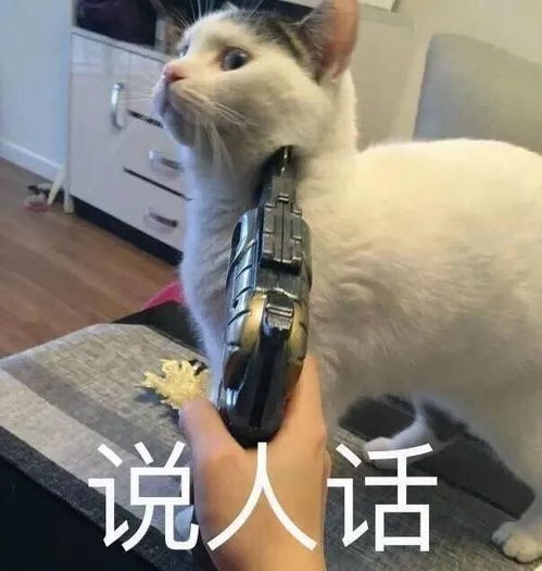 ootdgrwm账号互暖看完这篇,小红书上的洋气黑话尽在掌握