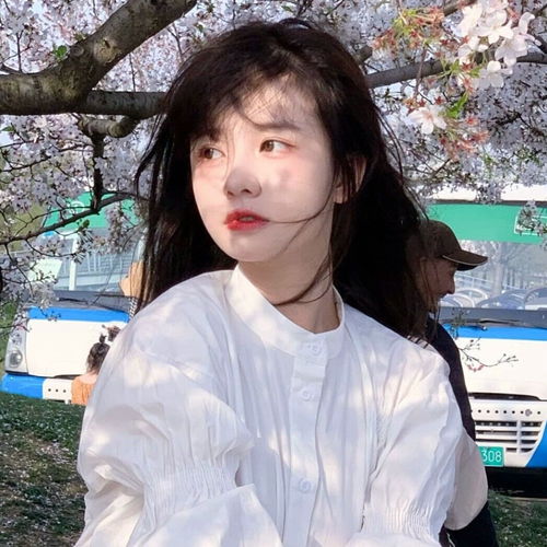 shareins风女头