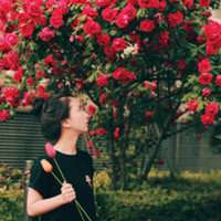微信花头像图片玫瑰花微信头像图片大全