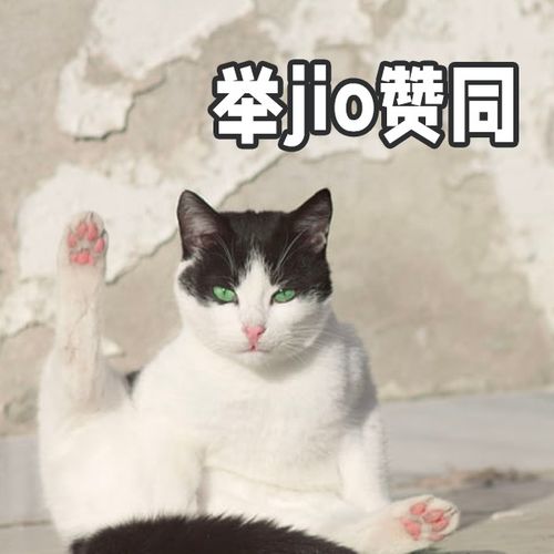 猫咪突然不在猫砂盆里大小便是怎么肥四