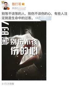 快手局势大变二驴回归基本无望,散打哥嘲讽有些人只是过客