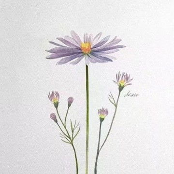 女人最旺财的微信头像2021最新款风景花朵图片