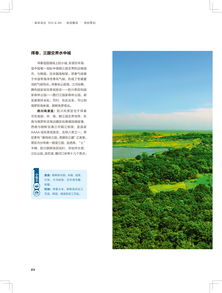 吉祥森林天赐凉机吉林避暑好去处