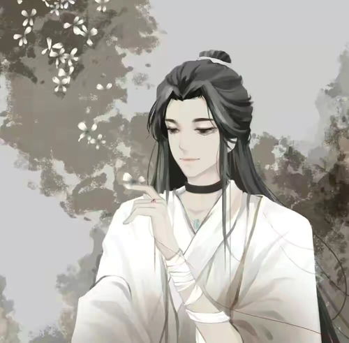 古风男生头像年年有风,风吹年年,慢慢即漫漫