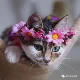 2019抖音上比较火的头像