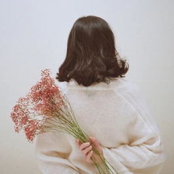 水冰月