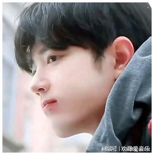 娱乐杨紫肖战王一博张凌赫成毅龚俊白鹿景
