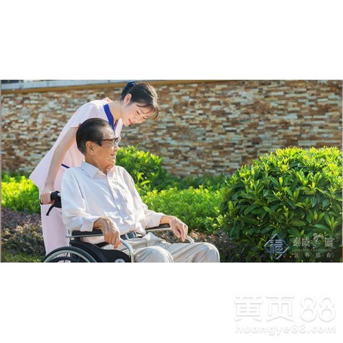 广州黄页88网