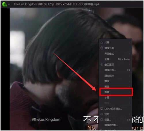 制作视频,配音怎么和字幕同步啊