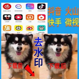 抖音快手火山微视视频去水印无软件去除logo短视频高清无痕