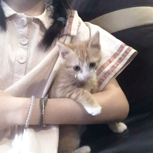 看一眼就想拿来发说说的句子